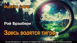 Здесь водятся тигры - Рэй Брэдбери